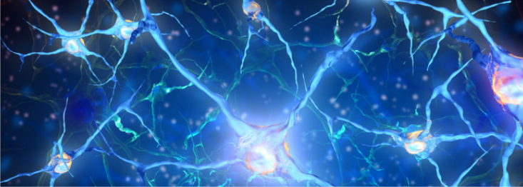 API'S-Direct Novel inhibitors